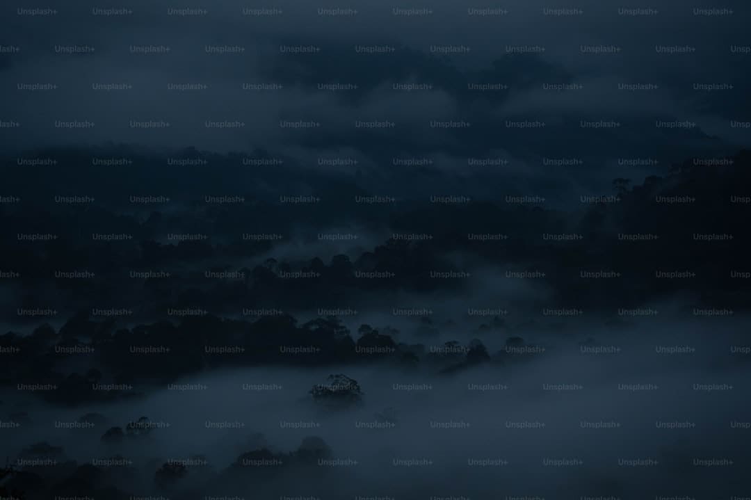 https://img0.utuku.imgcdc.com/635x0/ent/20250901/63e83707-3269-452d-bb88-8fde4ffdad5c.jpg